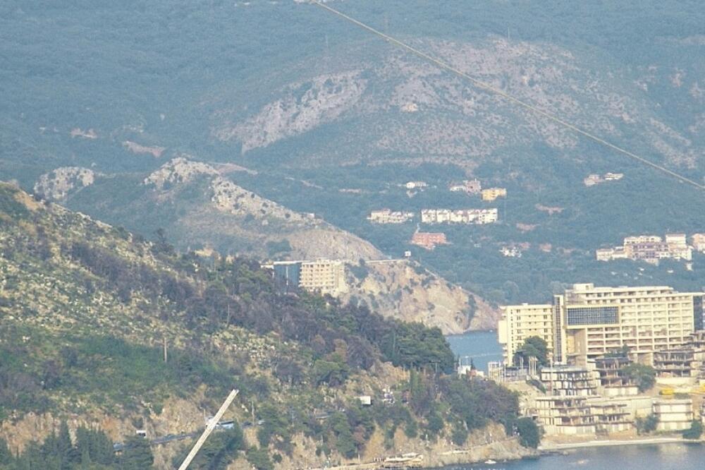 Podkošljun, Foto: Vuk Lajović