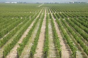 Ostvarujemo profit posljednjih 25 godina, ne dobijamo subvencije