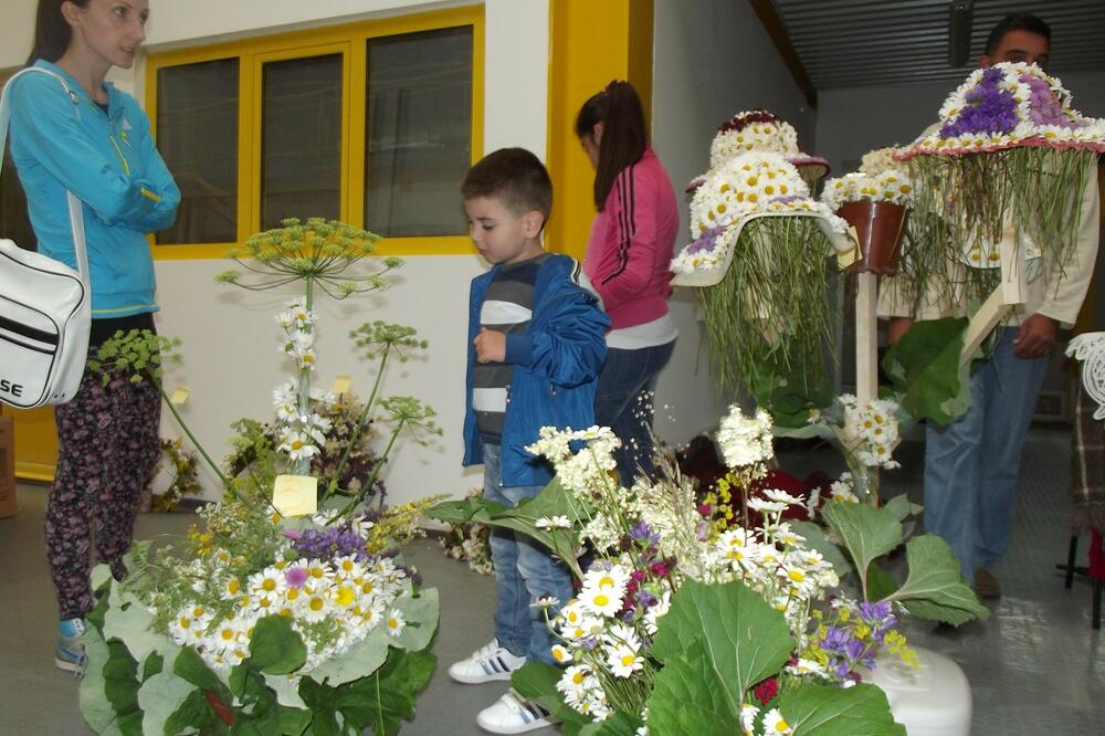 Dani planinskog cvijeća, Foto: Obrad Pješivac