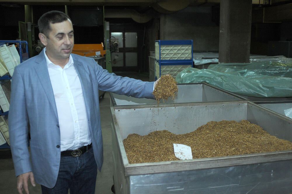 Isat Boljević, Duvanski, Foto: Zoran Đurić