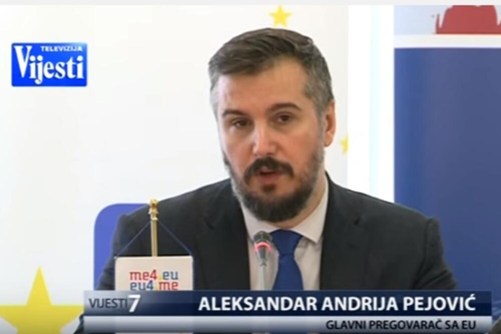 Aleksandar Andrija Pejović, Foto: TV Vijesti screenshot