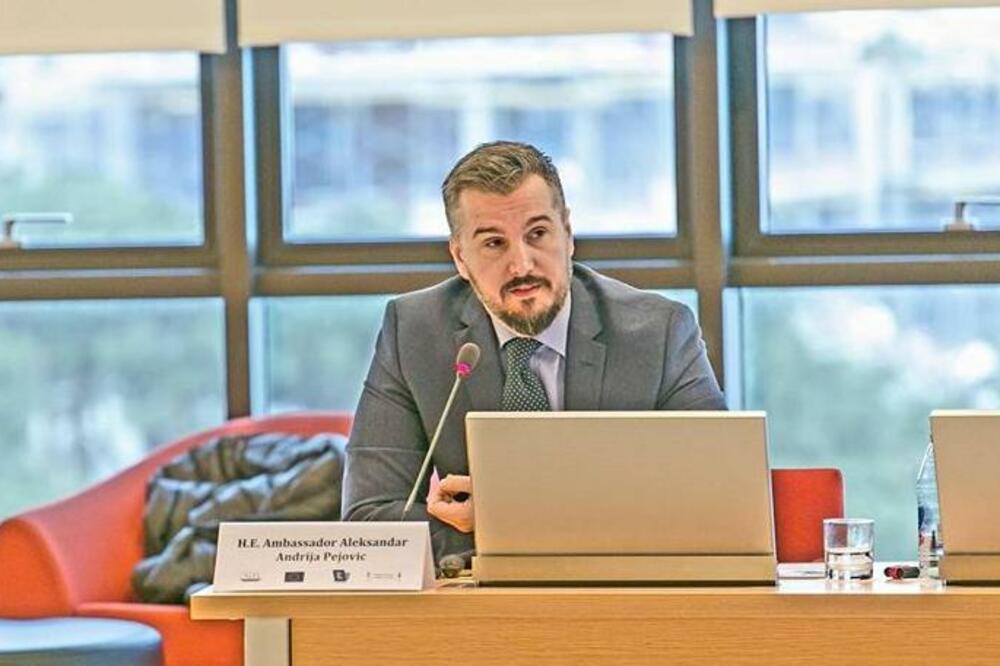 Aleksandar Andrija Pejović, Foto: Privatna arhiva