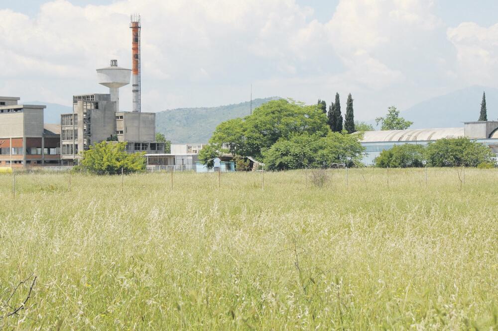 titeks, Foto: Zoran Đurić