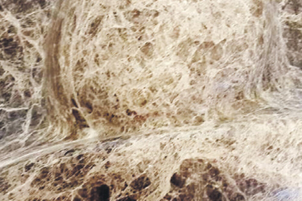 Skulptura Matije Radovića