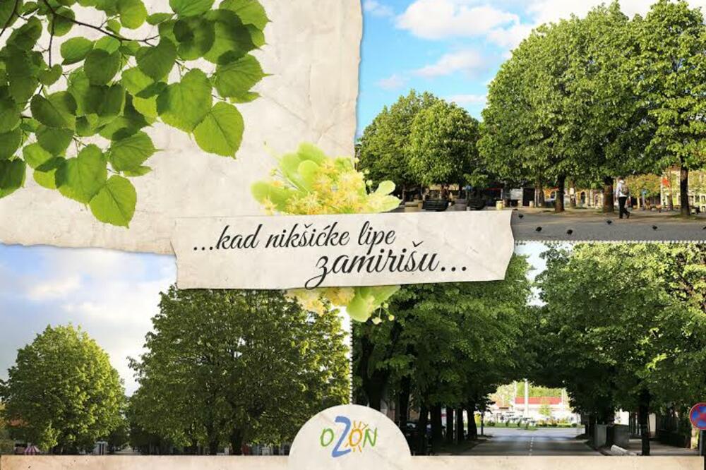 Lipe Nikšić, Foto: Svetlana Mandić