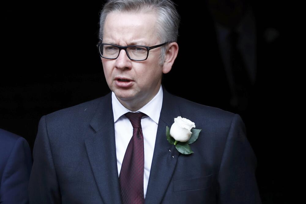 Majkl Gouv, Foto: Reuters