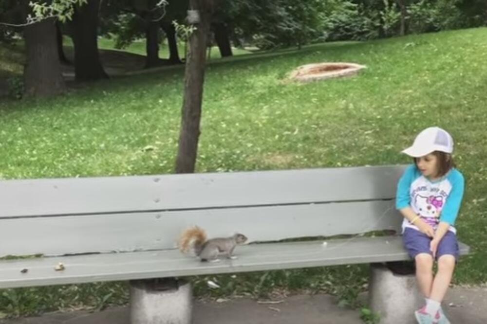 vjeverica i vađenje zuba, Foto: Youtube screenshot