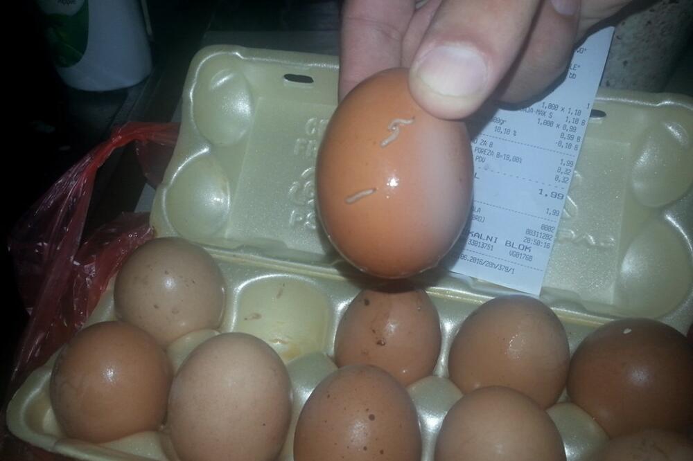 jaja, Slatka kuća, Foto: Čitalac "Vijesti"