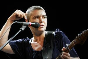 Šinejd: Previše sam srećna zbog referenduma da bih se ubila