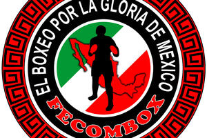 Meksiko bez profesionalnih boksera na Igrama u Riju