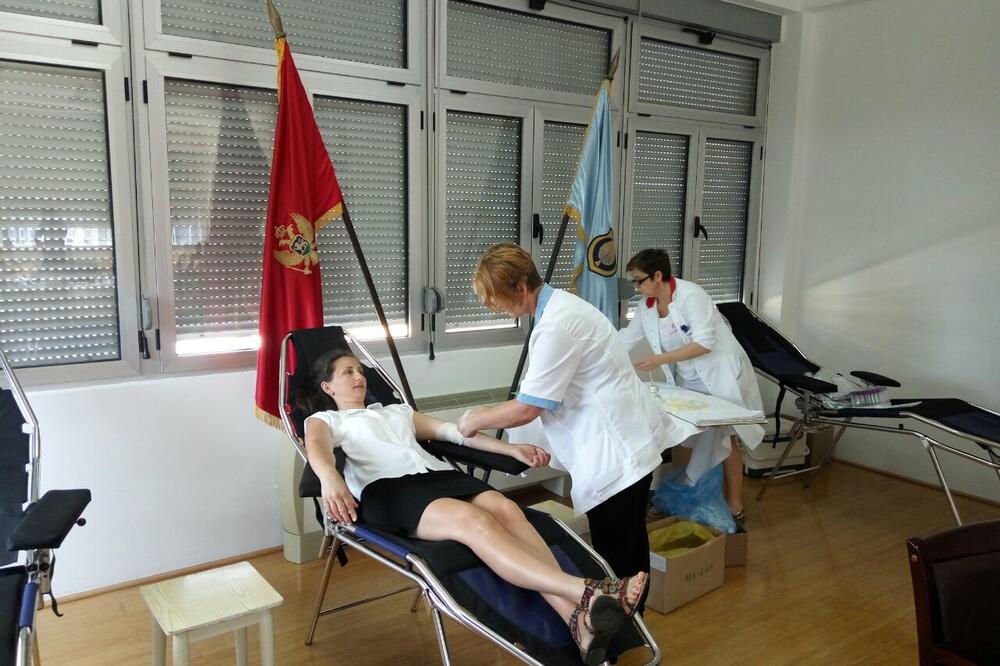 Dobrovoljno davanje krvi-Tivat, Foto: Opština Tivat