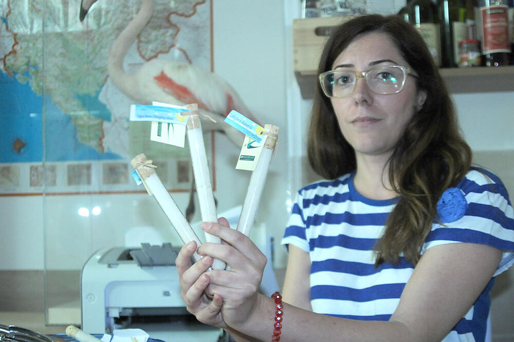 Marija Stanišić, CZIP, Foto: Zoran Đurić