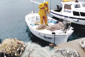 Osnivanje Udruženja morskih ribara korak prema organizovanijem...