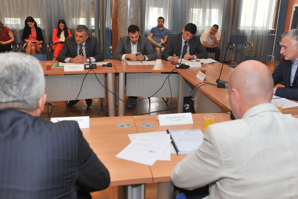 Odobor za ekonomiju, Foto: Savo Prelević