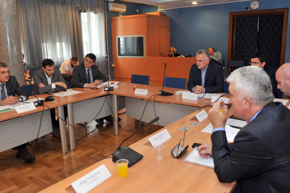 Odbor za ekonomiju, Foto: Savo Prelević