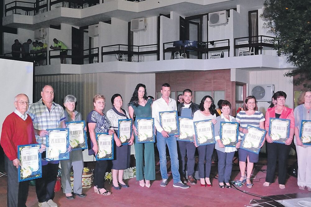Turistički cvijet, Tivat, Foto: Siniša Luković