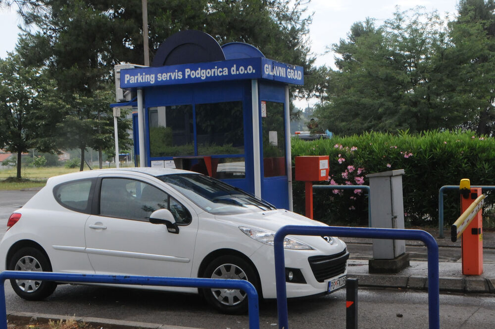 Andrea Čogurić, pauk, Foto: Luka Zeković