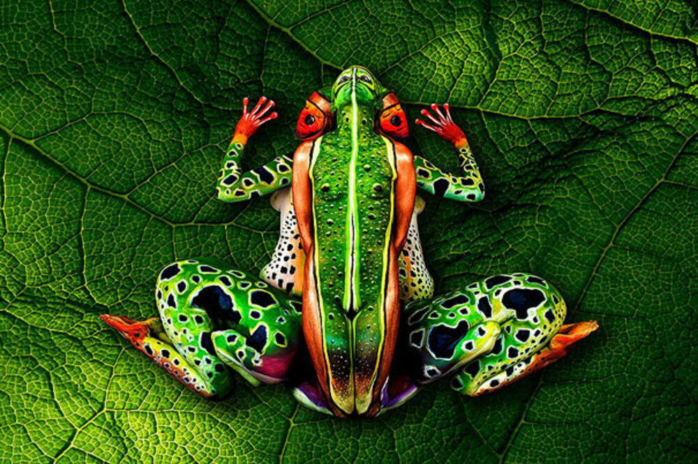 body paint, Foto: Boredpanda.com