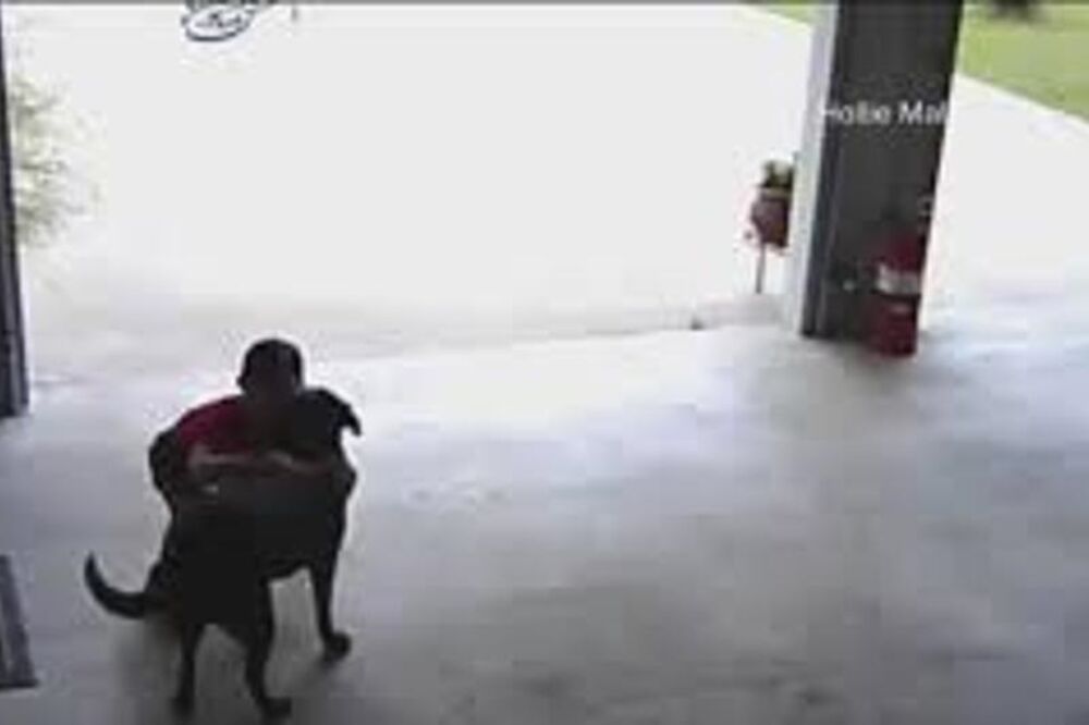 dječak i pas, Foto: Screenshot (Facebook)