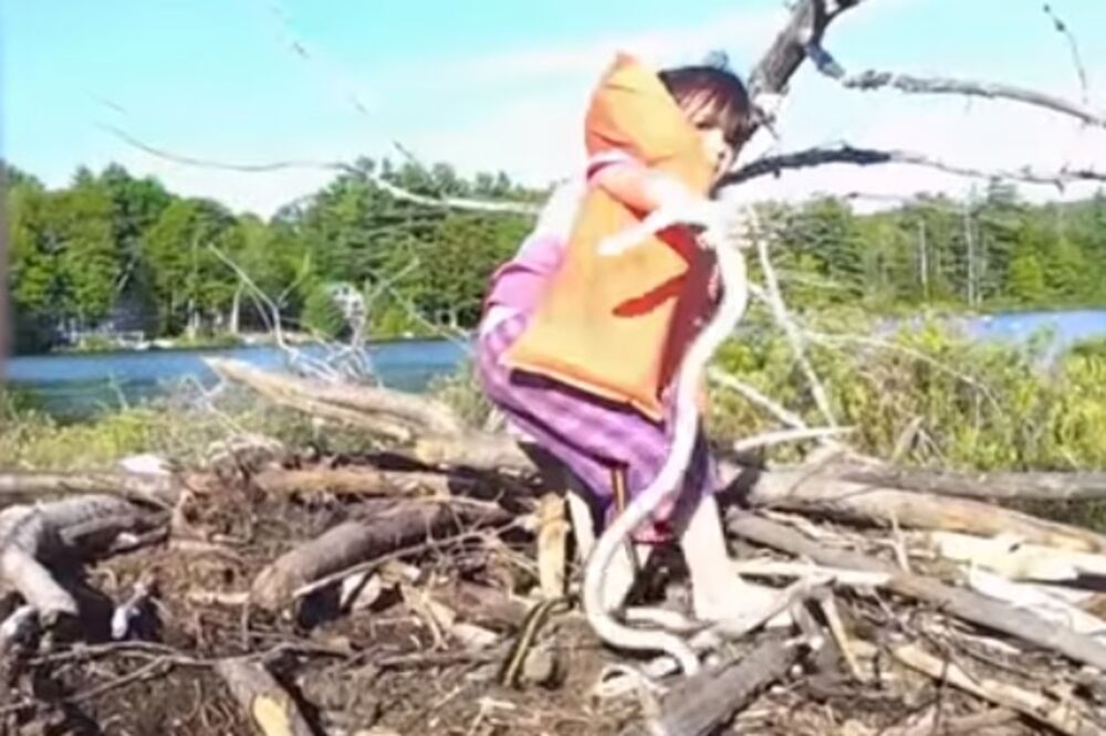 neustrašiva Adriana, Foto: Screenshot (YouTube)