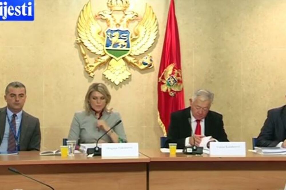Zakonodavni odbor, Foto: Screenshot (TV Vijesti)