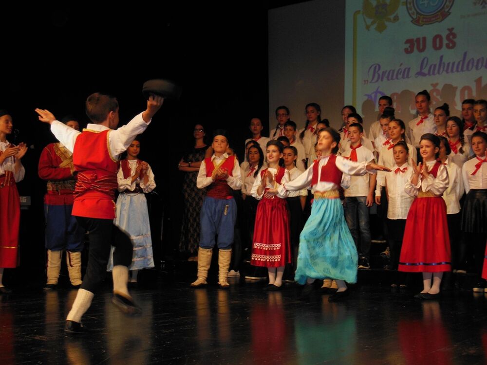 OŠ Braća Labudović