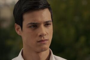 "Crna ruža": Baran se bori za život