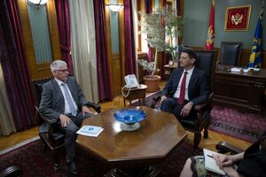 Pajović: Skupština će ispuniti svoje obaveze iz Sporazuma