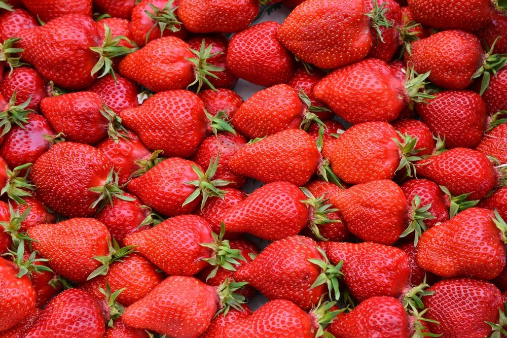 jagode, Foto: Shutterstock.com