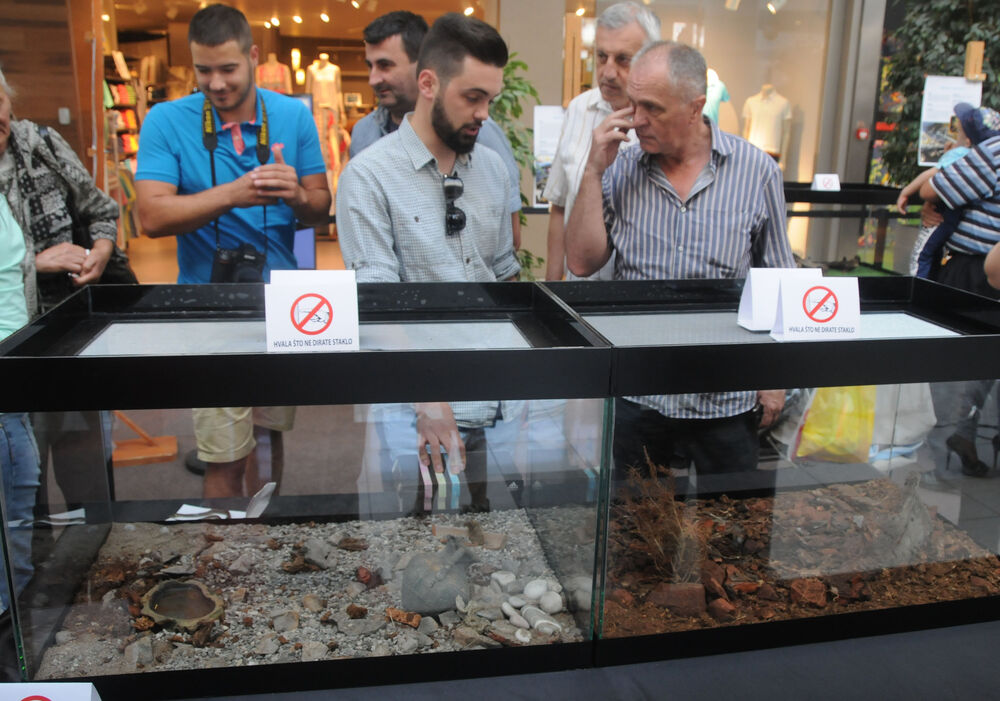 izložba zmija, Delta