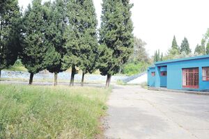 Podgorica: U planu još manje drveća