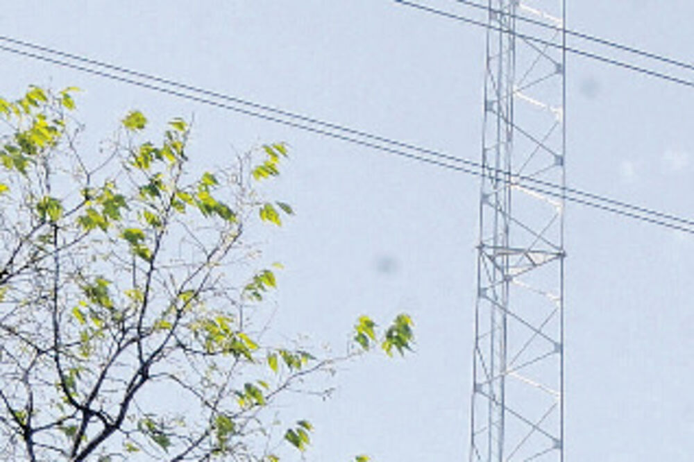 Struja, Foto: Zoran Đurić