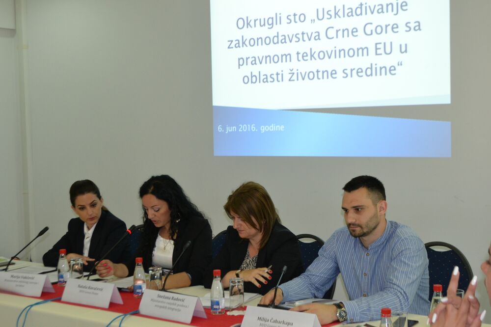 Green Home, okrugli sto, Foto: Green Home