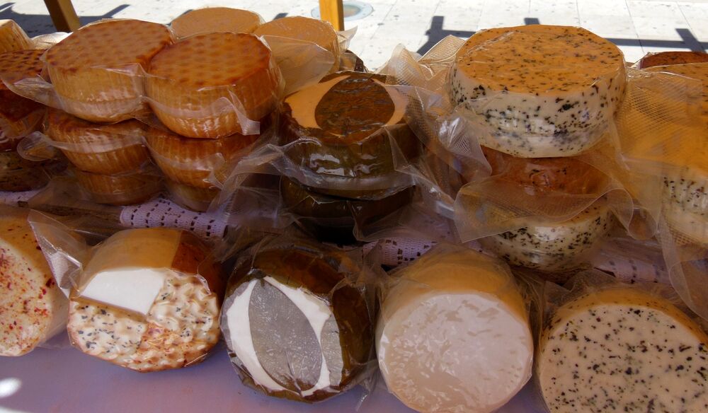 Javorka Batrićević