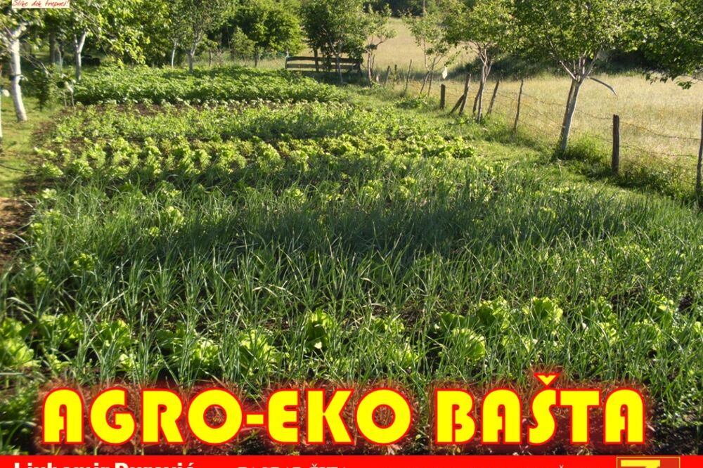 Najljepša bašta, Foto: NVO “Zagrad Montenegro”