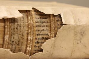 Šta kriju zapisi na poveznicama knjiga iz srednjeg vijeka