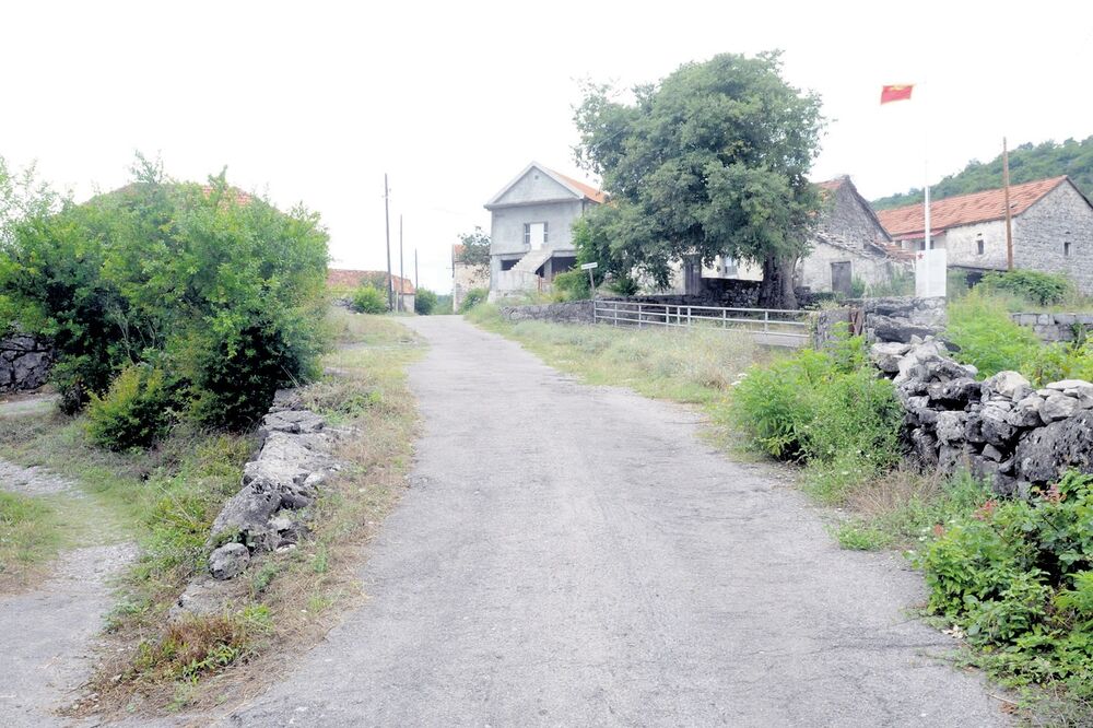 Progonovići, Foto: Arhiva "Vijesti"