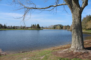 Parče raja, vikend, plata 190.000 funti i - niko neće