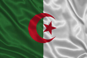 Alžir: Sudar kamiona i autobusa, najmanje 33 mrtvih