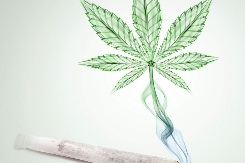 Marihuana, trava, pušenje