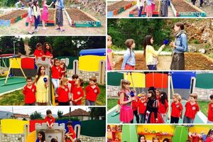 Otkrijte šta su novo Pčelice naučile o biljakama