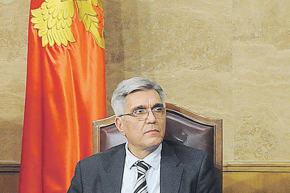Siniša Stanković, Foto: Zoran Đurić