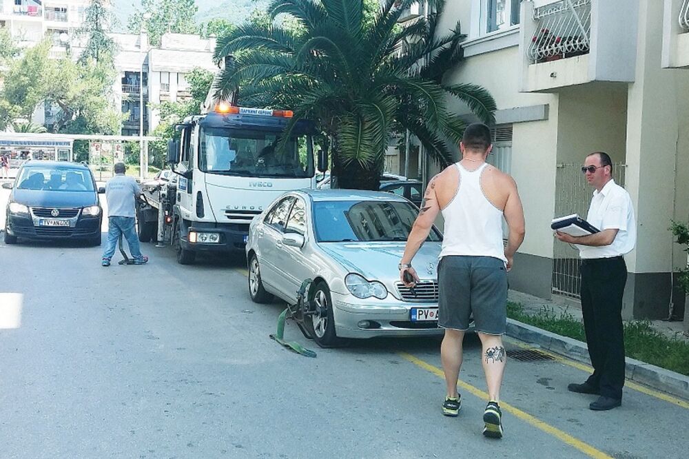 pauk, Tivat, Foto: Siniša Luković