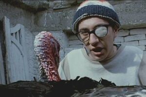 Sedamnaest godina od smrti Perhana