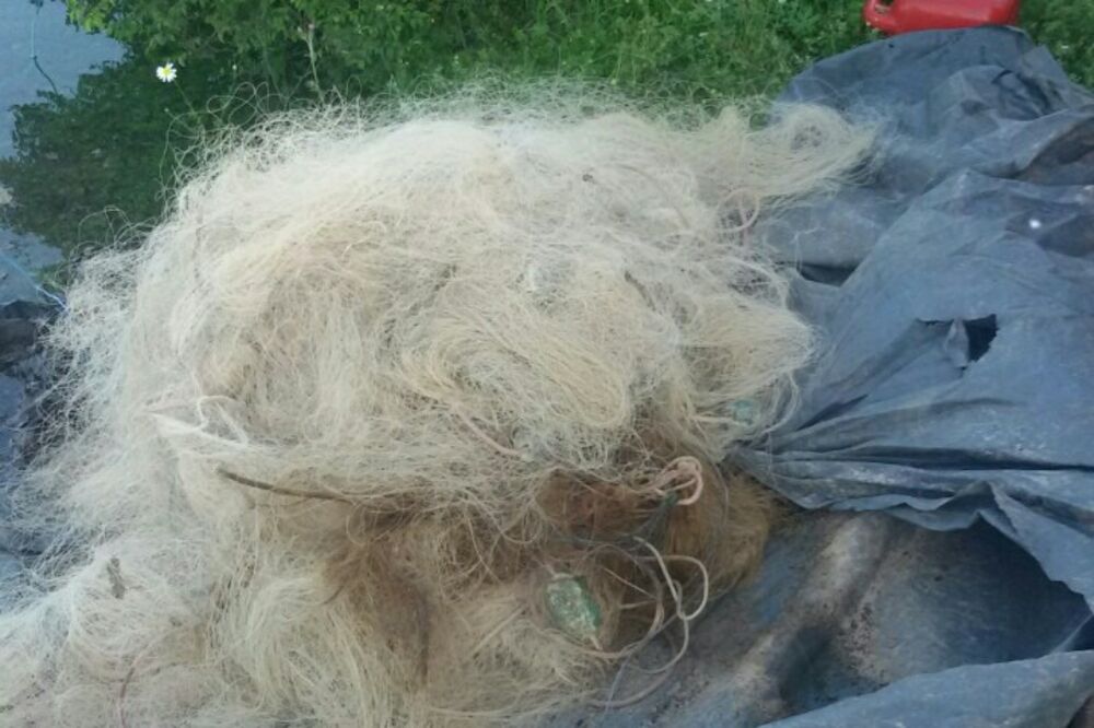 ribočuvarska služba, Foto: Svetlana Mandić