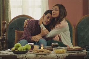 "Crna ruža": Ada saznaje istinu o Baranu, dok ga ostali ukućani...