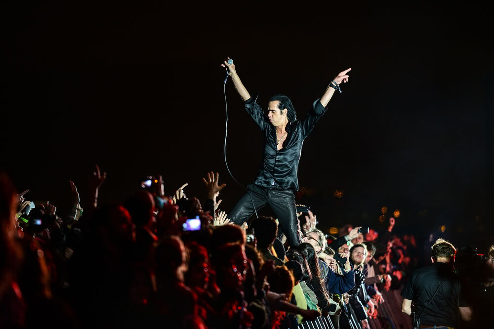 Nik Kejv, Foto: Shutterstock