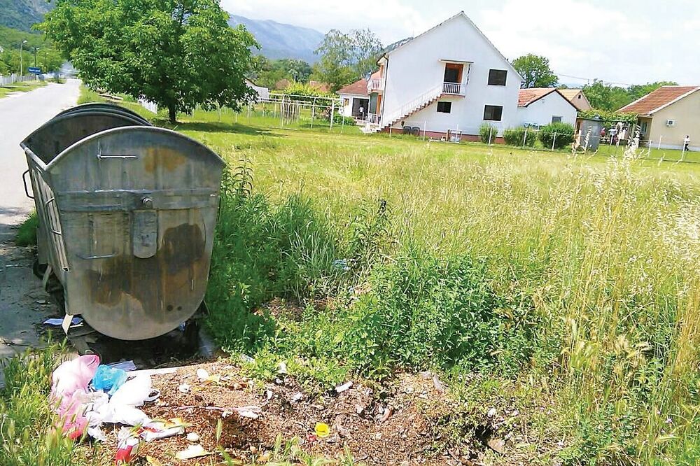 Velja Paprat, Foto: Jelena Jovanović