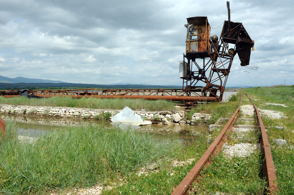 Solana, Foto: Savo Prelević