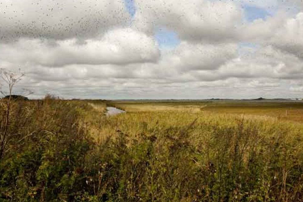 Egholm, Foto: Wikipedia.org